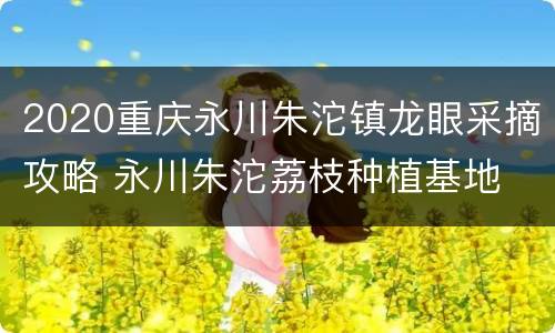 2020重庆永川朱沱镇龙眼采摘攻略 永川朱沱荔枝种植基地