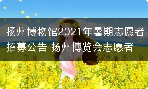 扬州博物馆2021年暑期志愿者招募公告 扬州博览会志愿者