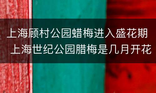 上海顾村公园蜡梅进入盛花期 上海世纪公园腊梅是几月开花