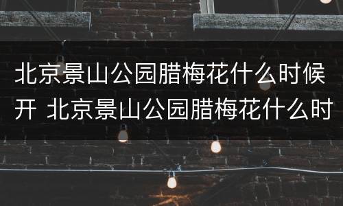 北京景山公园腊梅花什么时候开 北京景山公园腊梅花什么时候开的