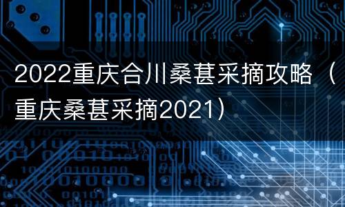 2022重庆合川桑葚采摘攻略（重庆桑葚采摘2021）