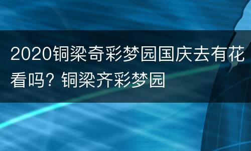 2020铜梁奇彩梦园国庆去有花看吗? 铜梁齐彩梦园