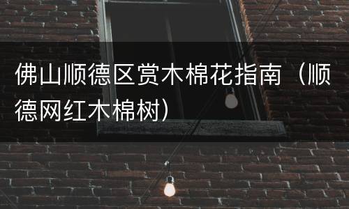 佛山顺德区赏木棉花指南（顺德网红木棉树）