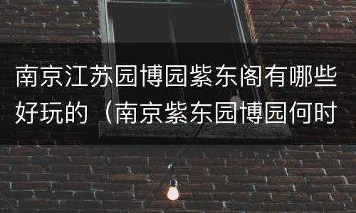 南京江苏园博园紫东阁有哪些好玩的（南京紫东园博园何时开业）