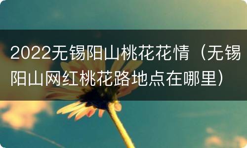 2022无锡阳山桃花花情（无锡阳山网红桃花路地点在哪里）
