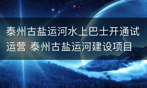 泰州古盐运河水上巴士开通试运营 泰州古盐运河建设项目