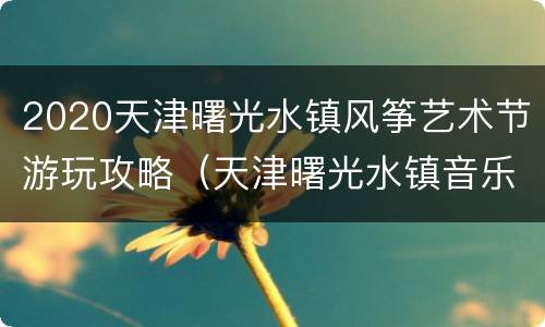 2020天津曙光水镇风筝艺术节游玩攻略（天津曙光水镇音乐节门票）