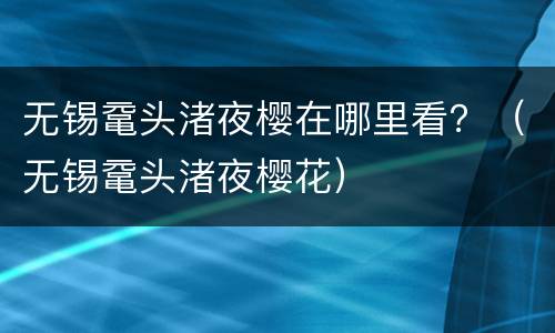 无锡鼋头渚夜樱在哪里看？（无锡鼋头渚夜樱花）