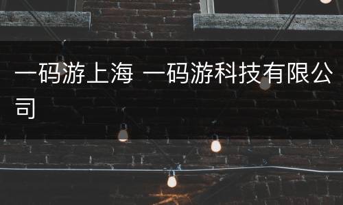 一码游上海 一码游科技有限公司
