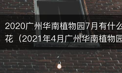 2020广州华南植物园7月有什么花（2021年4月广州华南植物园）