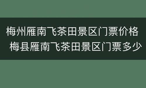 梅州雁南飞茶田景区门票价格 梅县雁南飞茶田景区门票多少钱