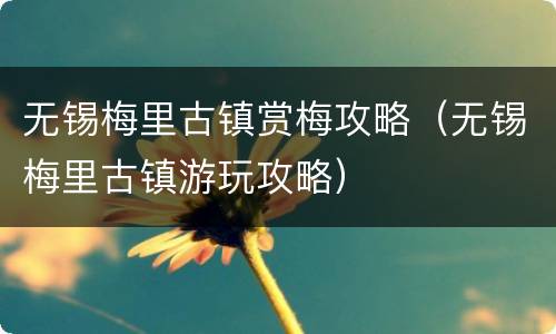 无锡梅里古镇赏梅攻略（无锡梅里古镇游玩攻略）