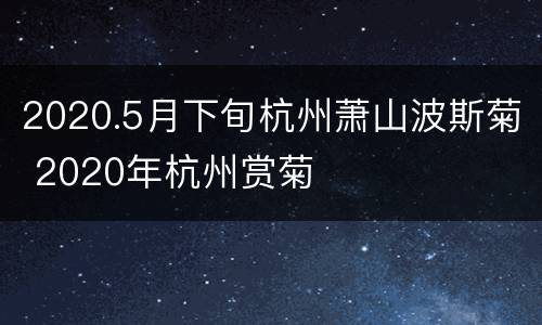 2020.5月下旬杭州萧山波斯菊 2020年杭州赏菊