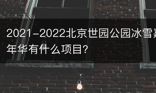 2021-2022北京世园公园冰雪嘉年华有什么项目？