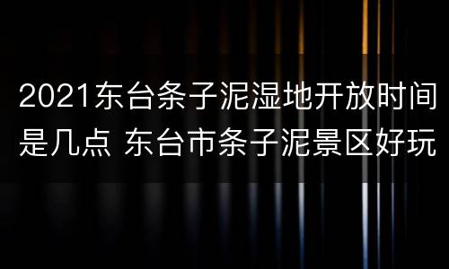 2021东台条子泥湿地开放时间是几点 东台市条子泥景区好玩吗