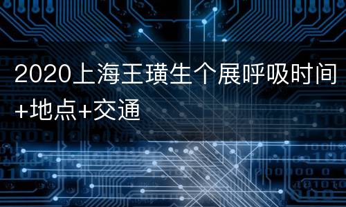 2020上海王璜生个展呼吸时间+地点+交通