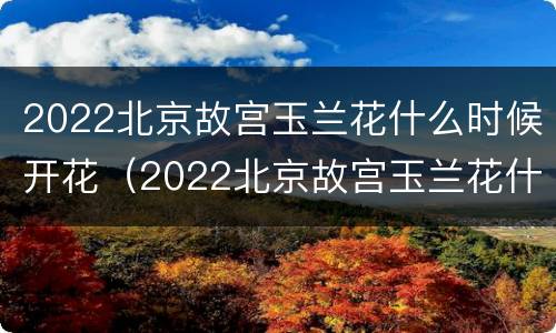 2022北京故宫玉兰花什么时候开花（2022北京故宫玉兰花什么时候开花呀）