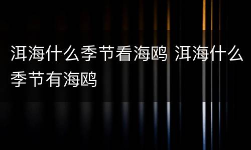 洱海什么季节看海鸥 洱海什么季节有海鸥
