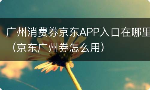 广州消费券京东APP入口在哪里（京东广州券怎么用）