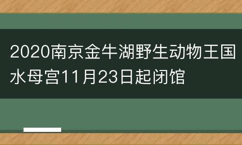 2020南京金牛湖野生动物王国水母宫11月23日起闭馆