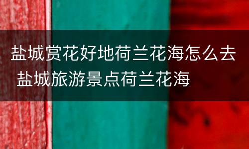 盐城赏花好地荷兰花海怎么去 盐城旅游景点荷兰花海