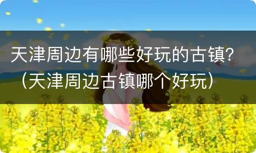 天津周边有哪些好玩的古镇？（天津周边古镇哪个好玩）