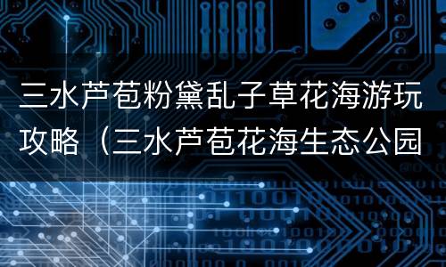 三水芦苞粉黛乱子草花海游玩攻略（三水芦苞花海生态公园介绍）
