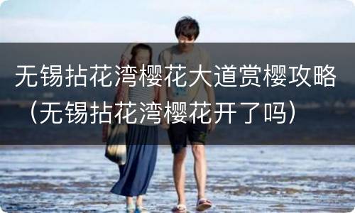 无锡拈花湾樱花大道赏樱攻略（无锡拈花湾樱花开了吗）