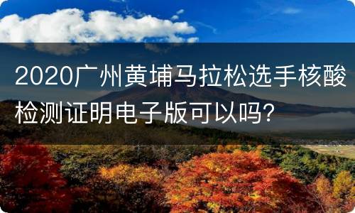 2020广州黄埔马拉松选手核酸检测证明电子版可以吗？