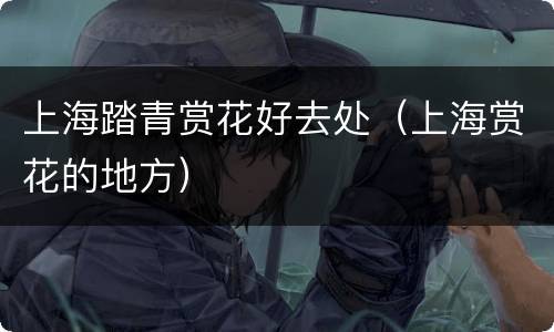 上海踏青赏花好去处（上海赏花的地方）