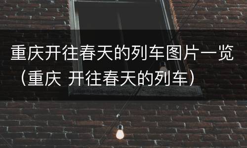 重庆开往春天的列车图片一览（重庆 开往春天的列车）