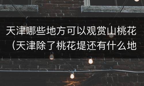天津哪些地方可以观赏山桃花（天津除了桃花堤还有什么地方赏花）