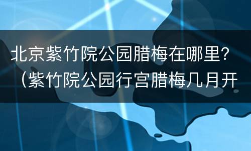 北京紫竹院公园腊梅在哪里？（紫竹院公园行宫腊梅几月开）