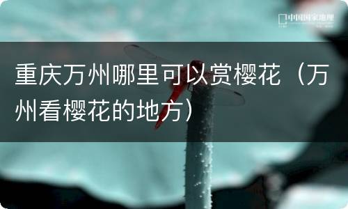 重庆万州哪里可以赏樱花（万州看樱花的地方）