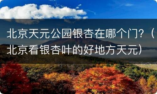 北京天元公园银杏在哪个门?（北京看银杏叶的好地方天元）