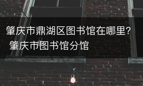 肇庆市鼎湖区图书馆在哪里？ 肇庆市图书馆分馆