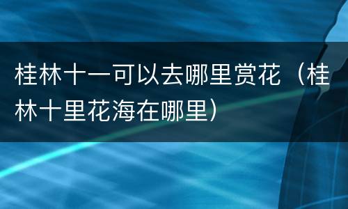 桂林十一可以去哪里赏花（桂林十里花海在哪里）