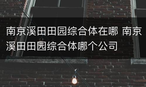 南京溪田田园综合体在哪 南京溪田田园综合体哪个公司