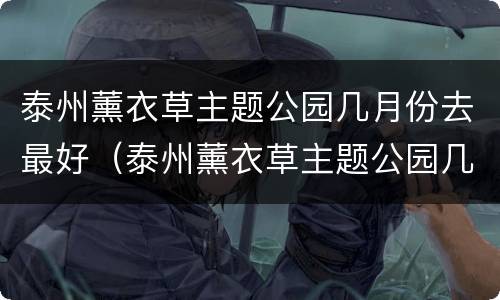 泰州薰衣草主题公园几月份去最好（泰州薰衣草主题公园几月份去最好呢）