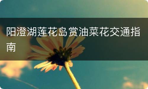 阳澄湖莲花岛赏油菜花交通指南