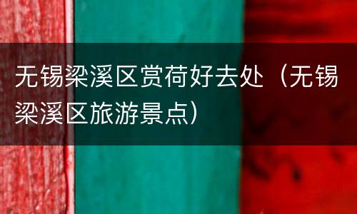 无锡梁溪区赏荷好去处（无锡梁溪区旅游景点）
