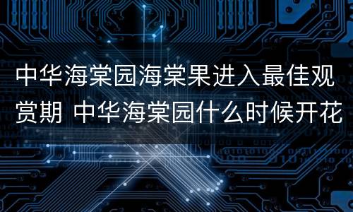 中华海棠园海棠果进入最佳观赏期 中华海棠园什么时候开花