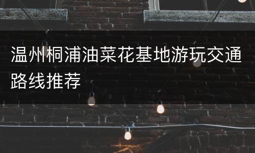 温州桐浦油菜花基地游玩交通路线推荐