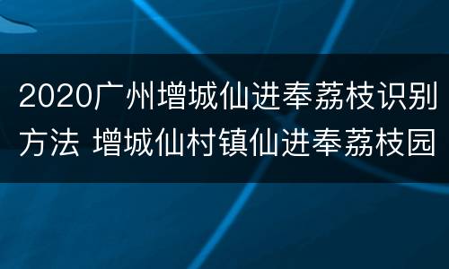 2020广州增城仙进奉荔枝识别方法 增城仙村镇仙进奉荔枝园