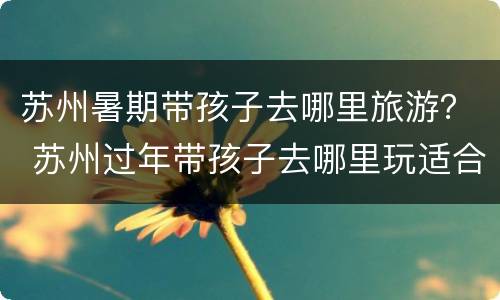苏州暑期带孩子去哪里旅游？ 苏州过年带孩子去哪里玩适合