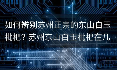 如何辨别苏州正宗的东山白玉枇杷? 苏州东山白玉枇杷在几月份上市