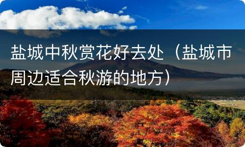 盐城中秋赏花好去处（盐城市周边适合秋游的地方）