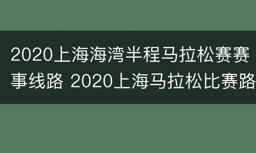 2020上海海湾半程马拉松赛赛事线路 2020上海马拉松比赛路线