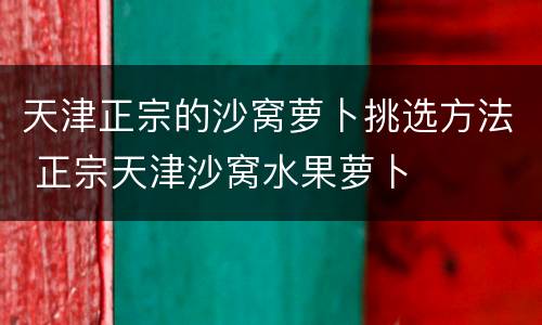 天津正宗的沙窝萝卜挑选方法 正宗天津沙窝水果萝卜