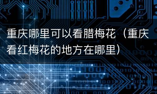 重庆哪里可以看腊梅花（重庆看红梅花的地方在哪里）